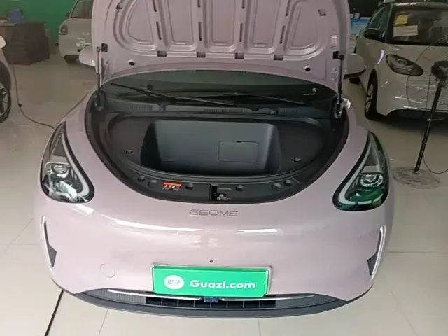 Geely Starry Wish — Фото автомобиля 19