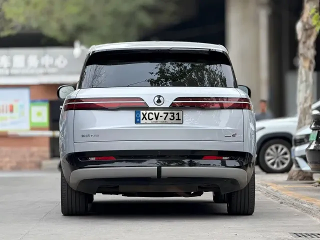 Denza N9 — Фото автомобиля 5