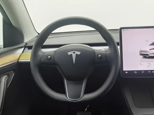 Tesla Model Y — Фото автомобиля 11