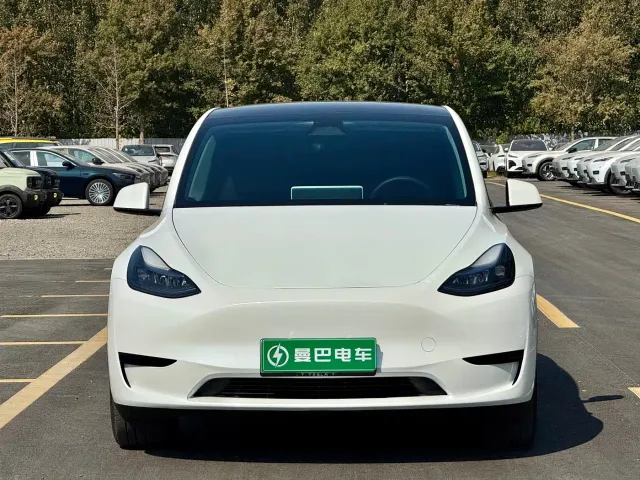 Tesla Model Y — Фото автомобиля 3