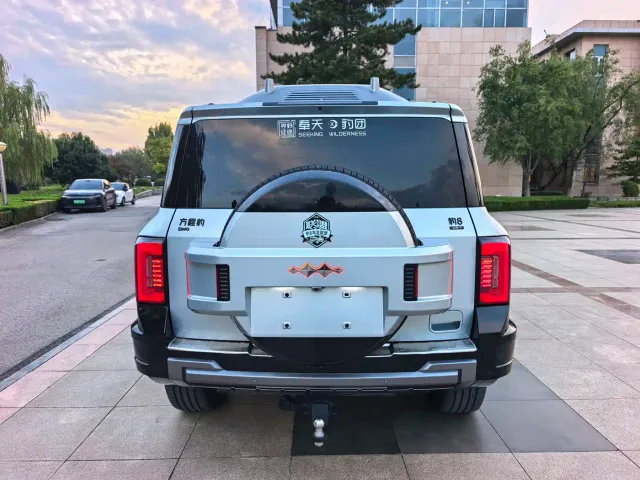 BYD FangChengBao Leopard 8 — Фото автомобиля 5