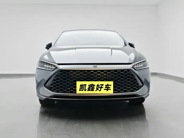 BYD Qin PLUS — Фото автомобиля 2