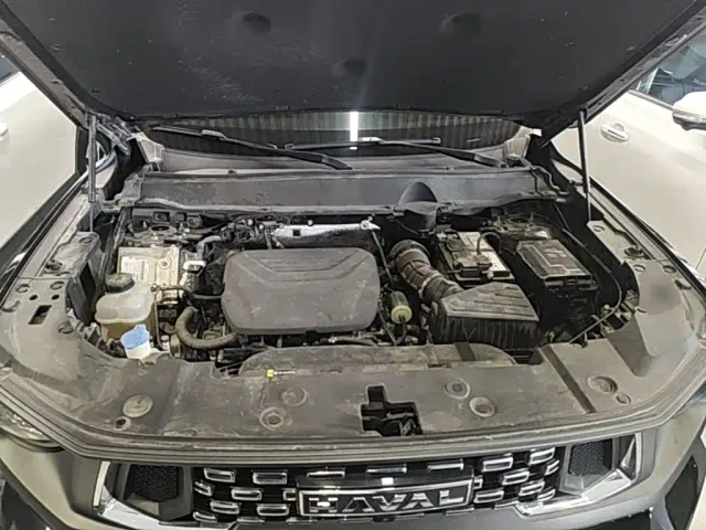 Haval Big Dog — Фото автомобиля 19