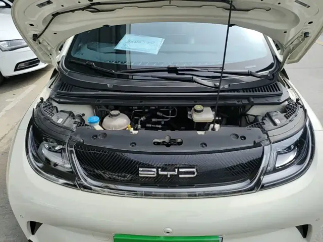 BYD Dolphin — Фото автомобиля 19