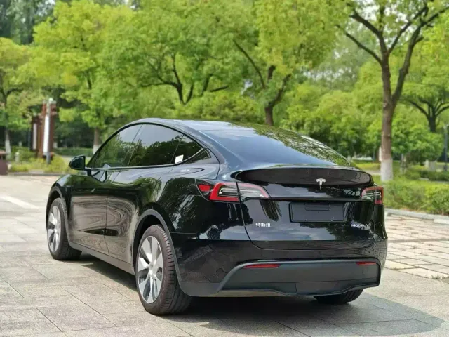 Tesla Model Y — Фото автомобиля 6