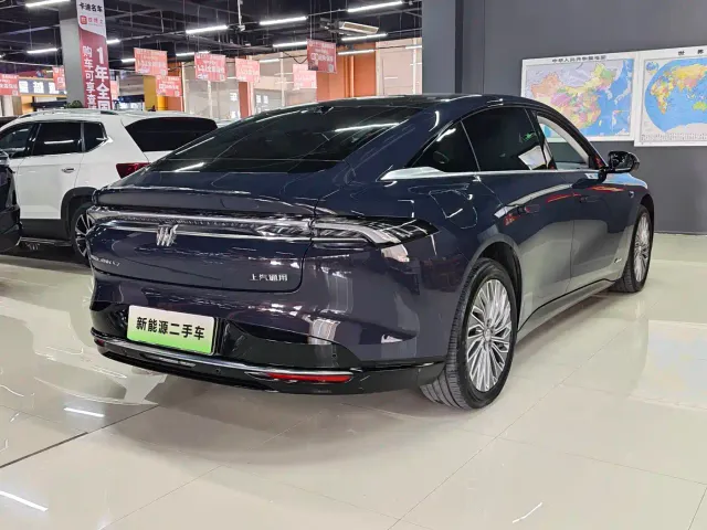 Buick Electra L7 — Фото автомобиля 3