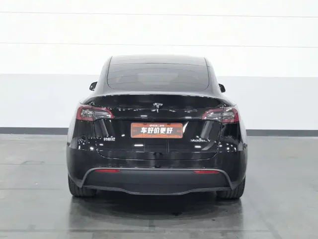 Tesla Model Y — Фото автомобиля 4