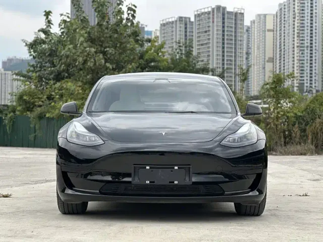 Tesla Model 3 2022 Model Rear-Wheel Drive Version — Фото автомобиля 2