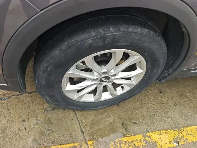 Chery Tiggo 7 PLUS — Фото автомобиля 22