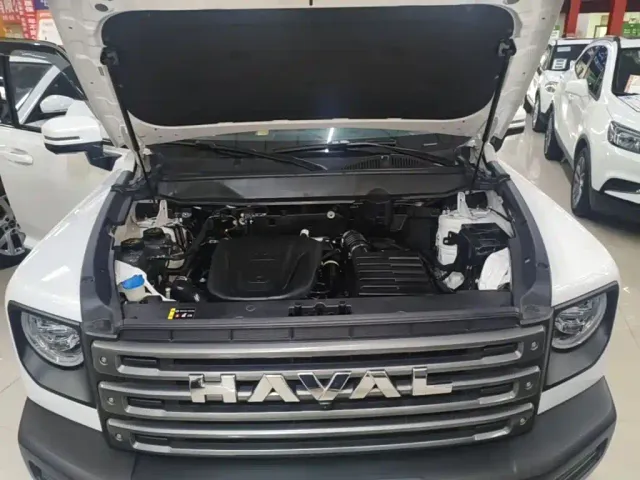 Haval Raptor — Фото автомобиля 19