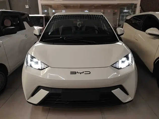BYD Seagull — Фото автомобиля 2