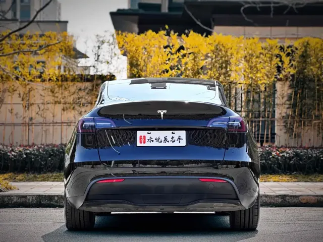 Tesla Model Y — Фото автомобиля 12