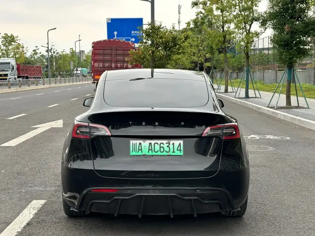 Tesla Model Y — Фото автомобиля 17