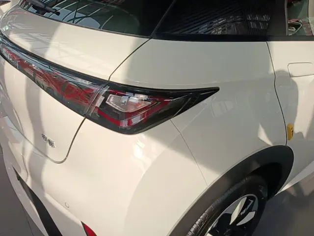 BYD Dolphin — Фото автомобиля 7