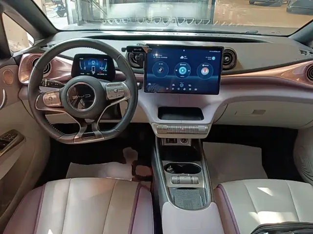 BYD Dolphin — Фото автомобиля 9