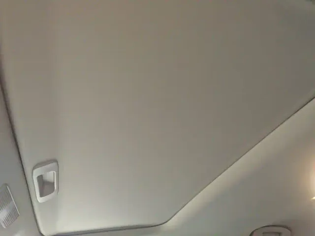 Nissan Sylphy — Фото автомобиля 17