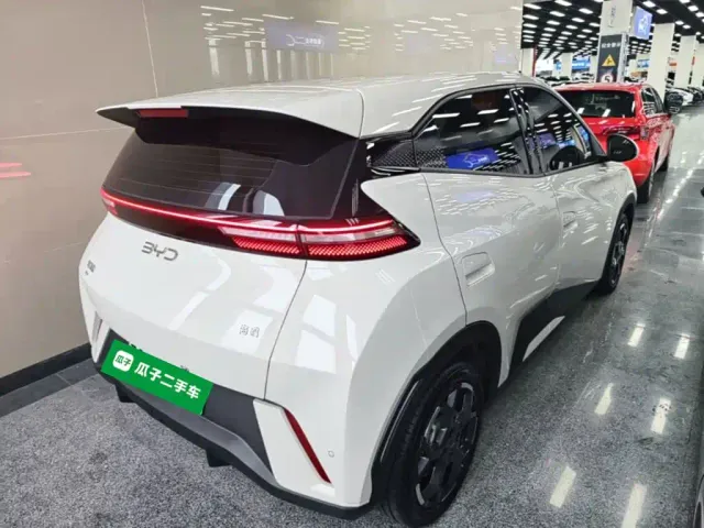 BYD Seagull — Фото автомобиля 6