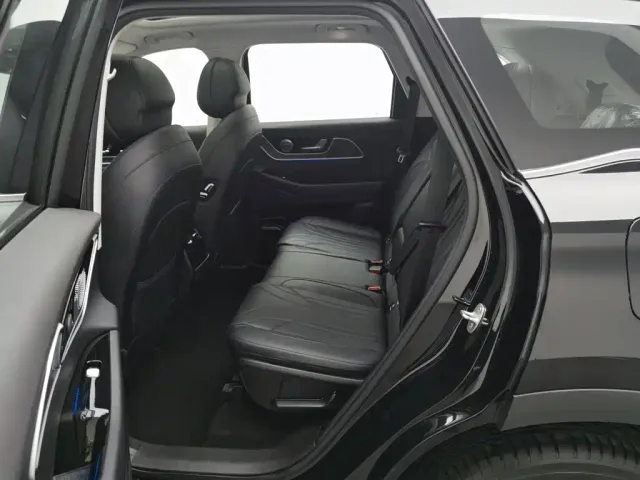 Chery Fulwin T9 — Фото автомобиля 15