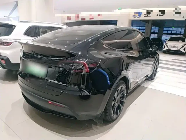 Tesla Model Y — Фото автомобиля 6