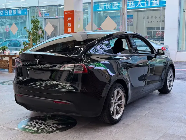 Tesla Model Y — Фото автомобиля 7