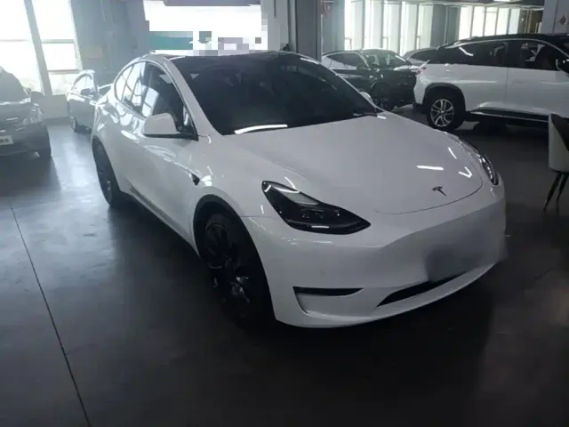 Tesla Model Y — Фото автомобиля 3