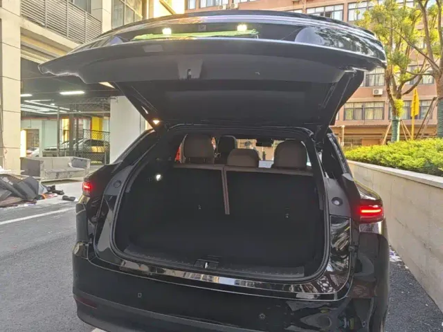 Li Auto i6 — Фото автомобиля 18