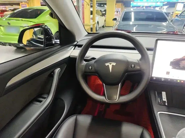 Tesla Model Y — Фото автомобиля 10