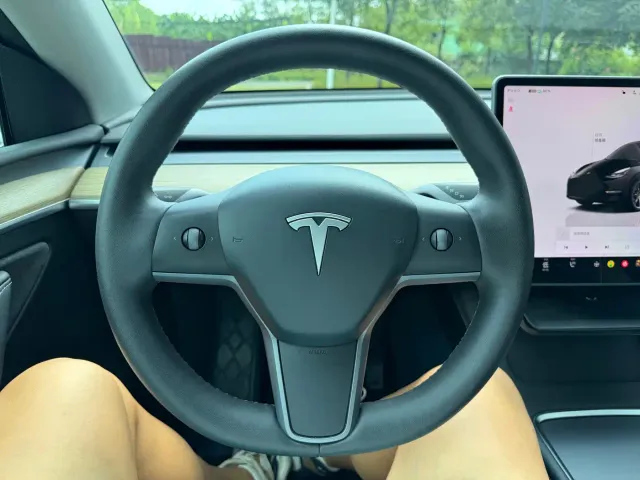 Tesla Model Y — Фото автомобиля 11