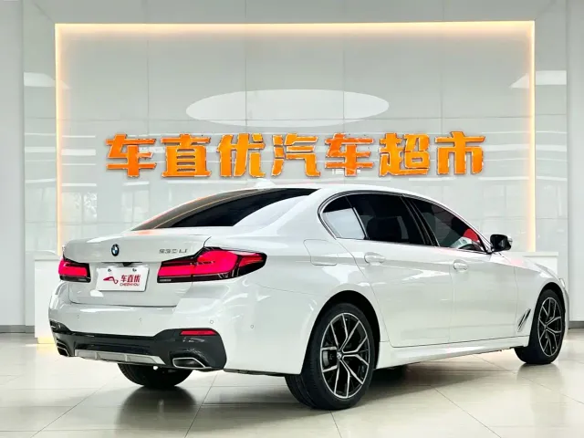 BMW 5 Series — Фото автомобиля 5