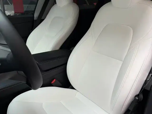 Tesla Model Y — Фото автомобиля 3