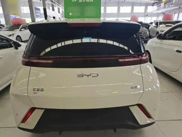 BYD Seagull — Фото автомобиля 5