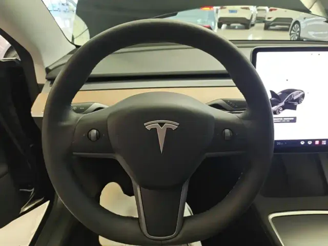 Tesla Model 3 — Фото автомобиля 10