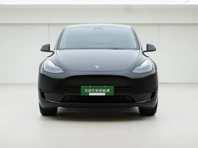 Tesla Model Y — Фото автомобиля 2
