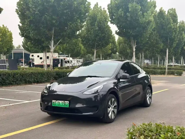 Tesla Model Y — Фото автомобиля 3