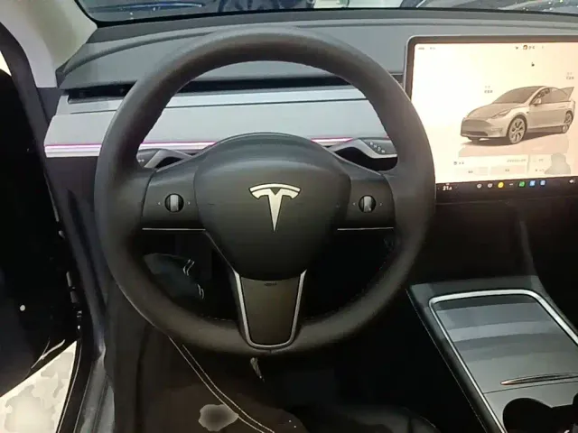 Tesla Model Y — Фото автомобиля 10