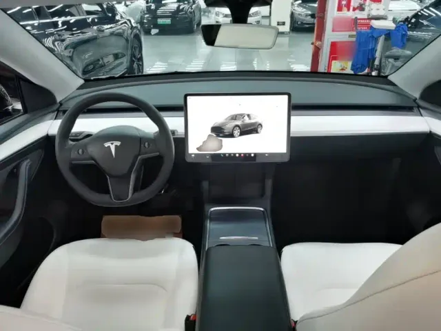 Tesla Model Y — Фото автомобиля 9
