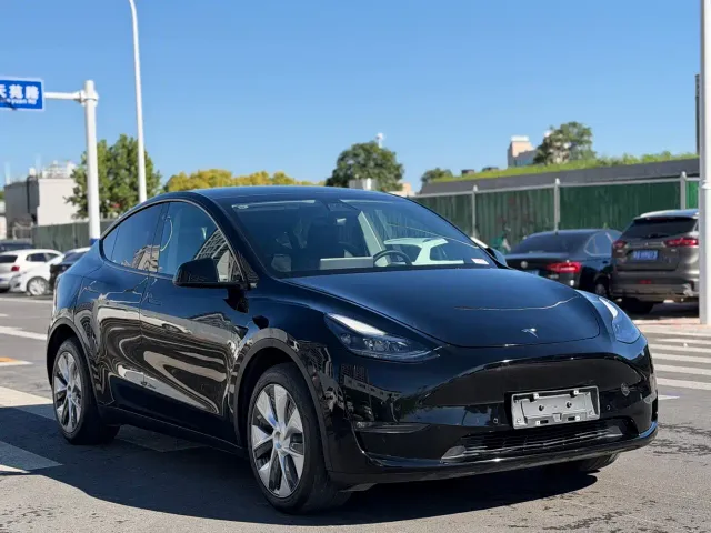 Tesla Model Y — Фото автомобиля 3