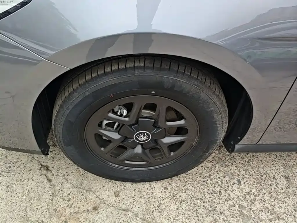 BYD Qin PLUS 2025 DM-i Smart Drive 55KM Leader — Фото автомобиля 22