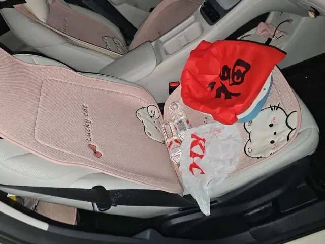 Geely Starry Wish — Фото автомобиля 8