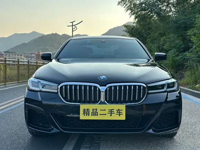 BMW 5 Series — Фото автомобиля 2