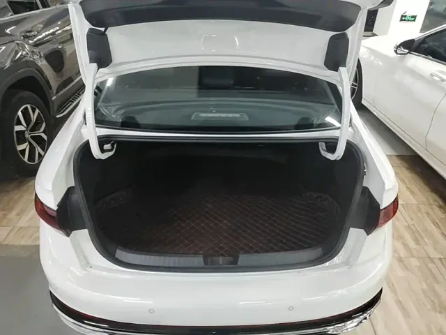 Volkswagen Sagitar — Фото автомобиля 18