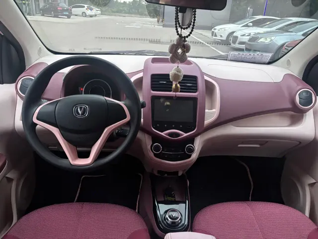 Changan Benben E-Star — Фото автомобиля 9