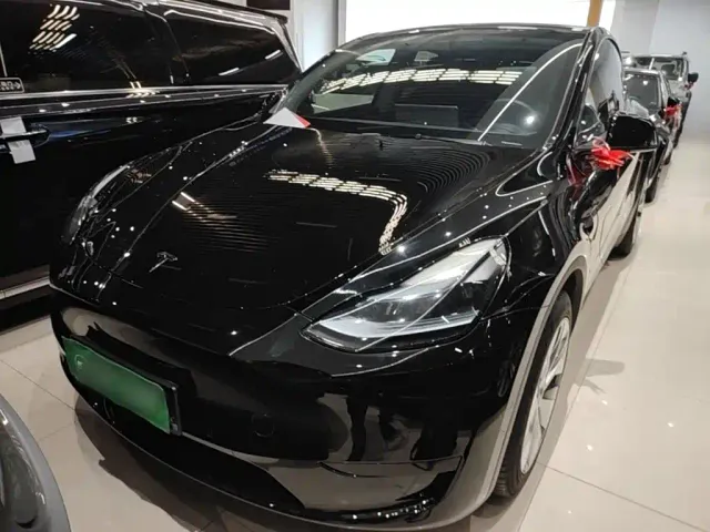 Tesla Model Y — Фото автомобиля 2