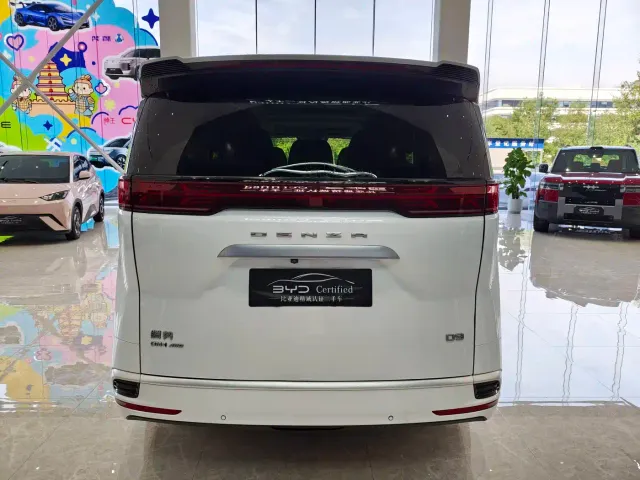 Denza D9 — Фото автомобиля 6