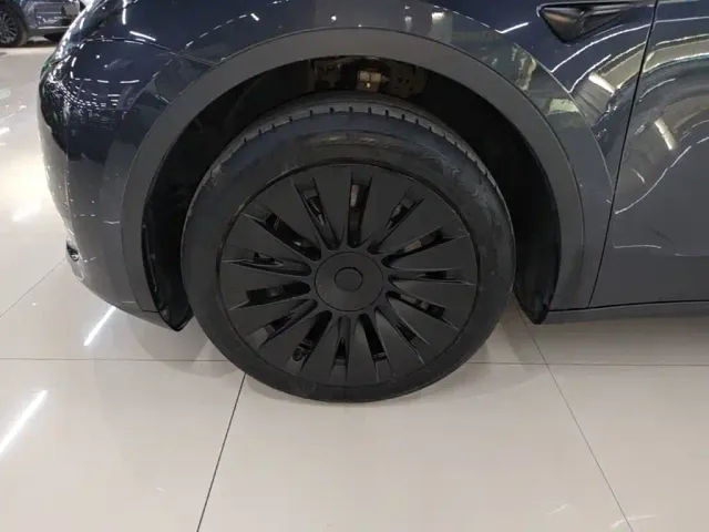 Tesla Model Y — Фото автомобиля 22