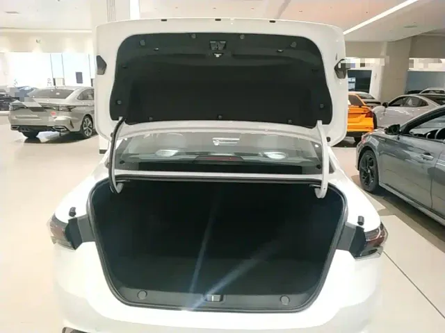 Geely Binrui — Фото автомобиля 18