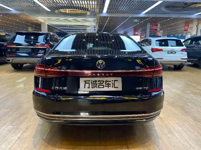 Volkswagen Passat — Фото автомобиля 17