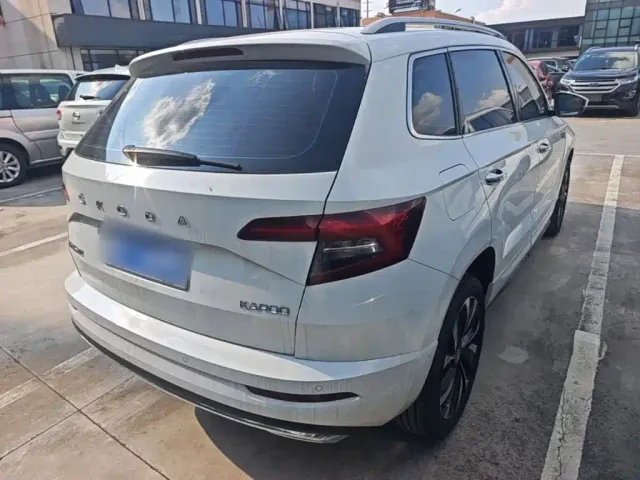 Skoda Karoq — Фото автомобиля 6