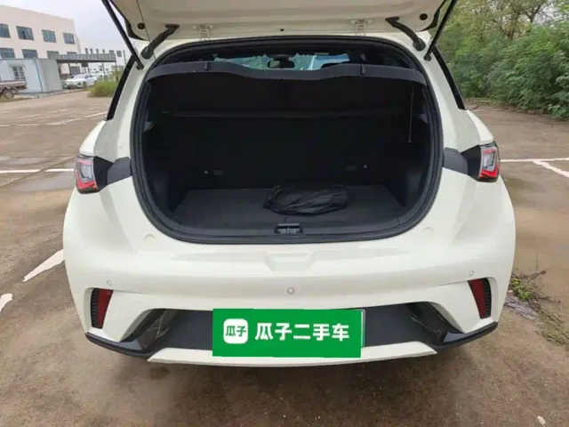 BYD Dolphin — Фото автомобиля 18