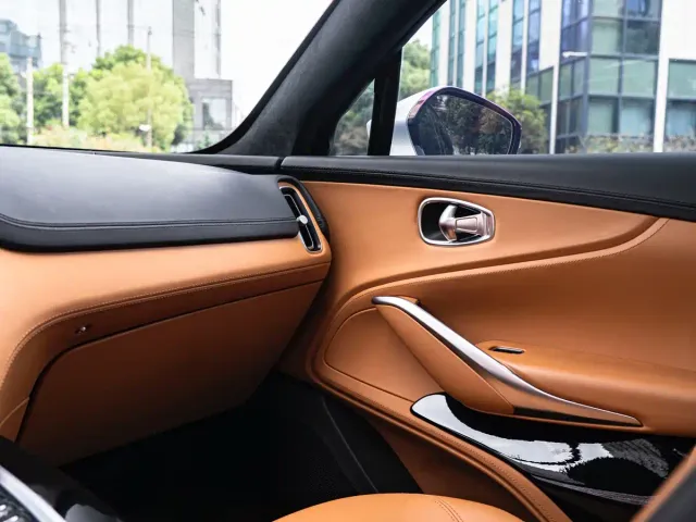 Aston Martin DBX — Фото автомобиля 13